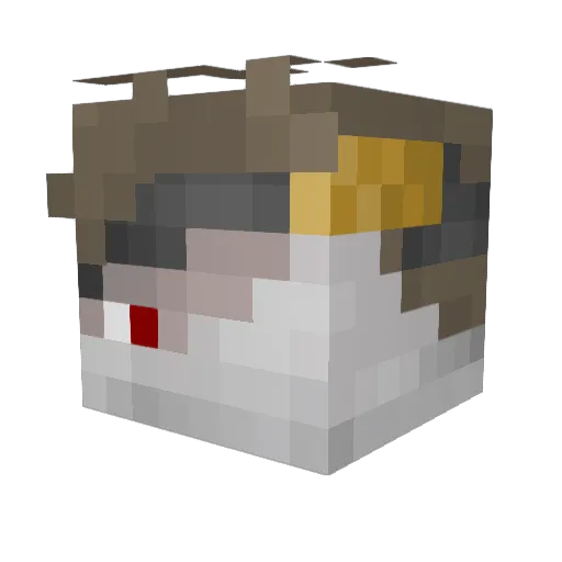 DrSpleat Minecraft avatar head, 3D render