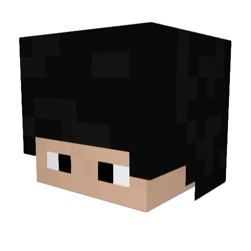 DrStein27 Minecraft avatar head, 3D render