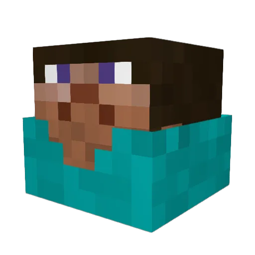 DrSticks5 Minecraft avatar head, 3D render