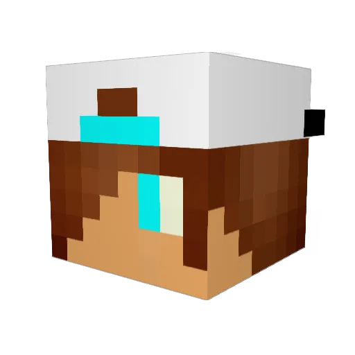 DrSw4g Minecraft avatar head, 3D render
