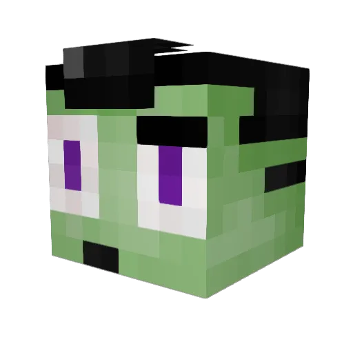 DrTalentedTiger Minecraft avatar head, 3D render