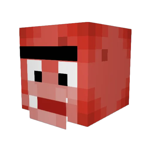 DrTedKaczynski Minecraft avatar head, 3D render