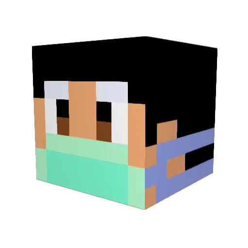 DrTimimi Minecraft avatar head, 3D render