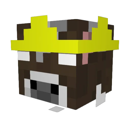 DrTimou Minecraft avatar head, 3D render