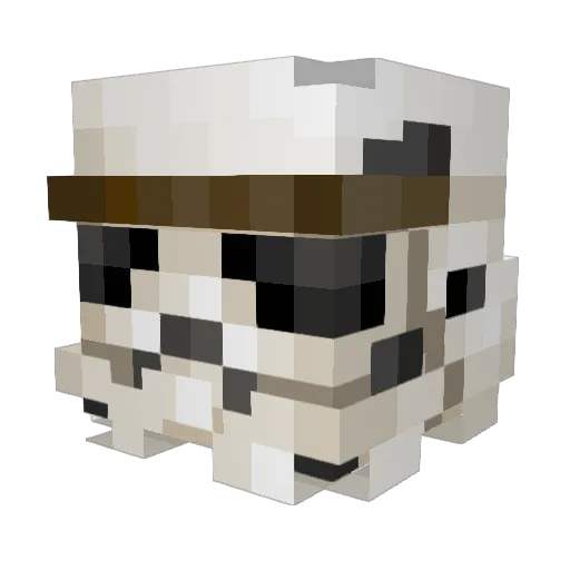 DrToad866 Minecraft avatar head, 3D render