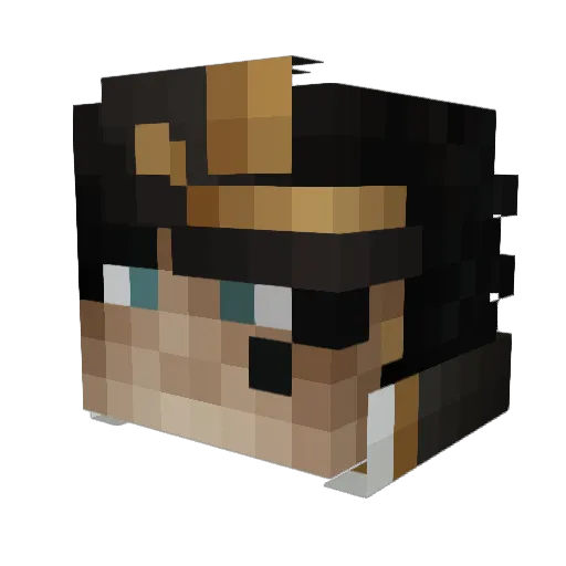 DrToastik_ Minecraft avatar head, 3D render