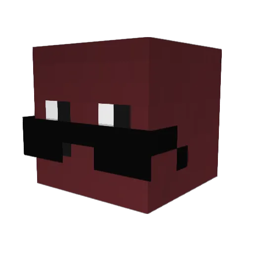 DrTraveled Minecraft avatar head, 3D render
