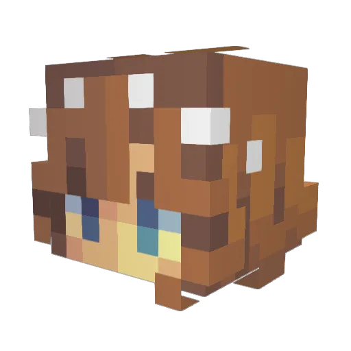 DrTrike Minecraft avatar head, 3D render