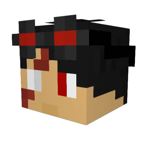DrTrixxy Minecraft avatar head, 3D render