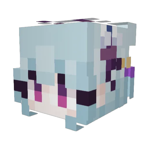 DrTsky Minecraft avatar head, 3D render