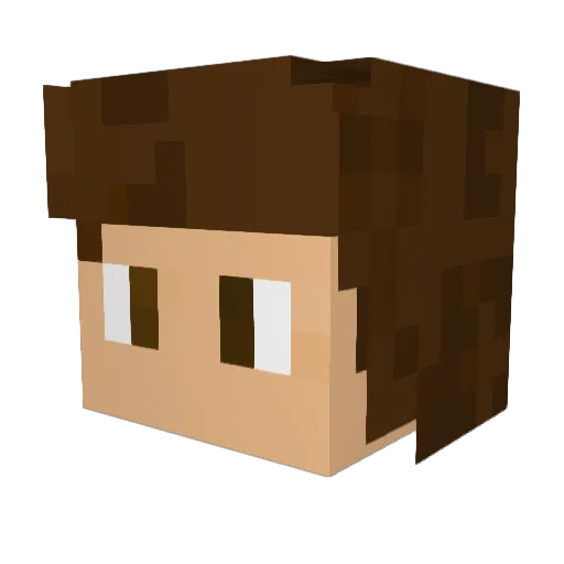 DrVander Minecraft avatar head, 3D render