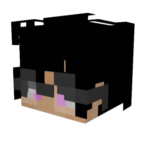 DrVinnn Minecraft avatar head, 3D render