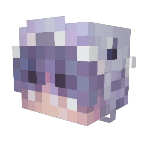 DrVodka Minecraft avatar head, 3D render