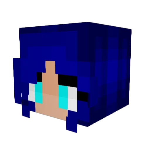 DrWaffles17 Minecraft avatar head, 3D render