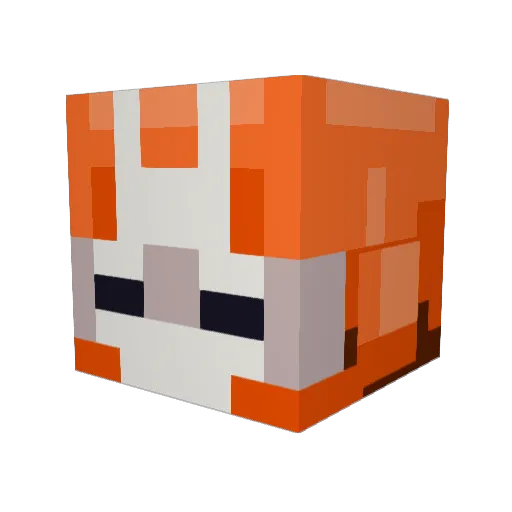 DrWhooves Minecraft avatar head, 3D render