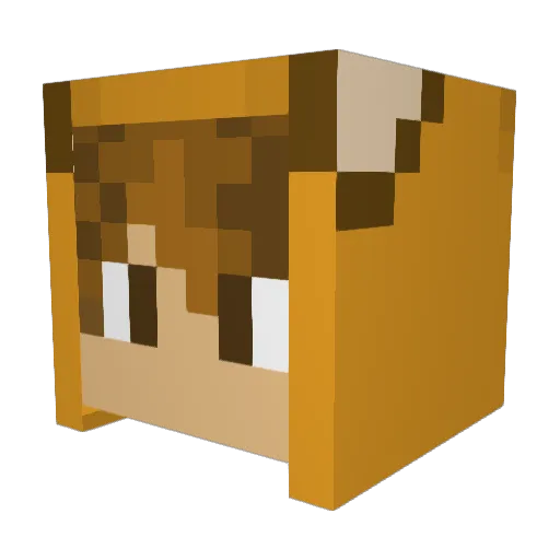 DrWingman Minecraft avatar head, 3D render