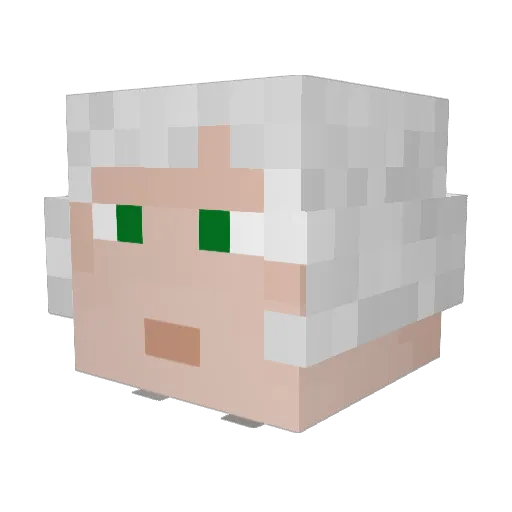 DrWobaliwoop Minecraft avatar head, 3D render