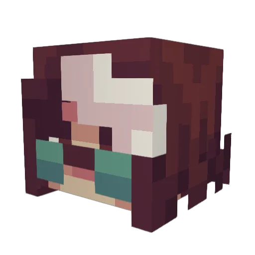 DrWolfenstein Minecraft avatar head, 3D render