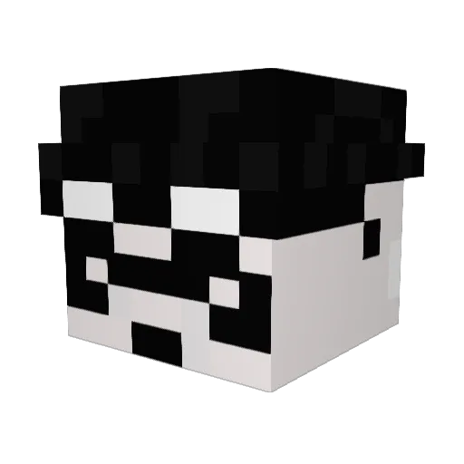 DrWondertainment Minecraft avatar head, 3D render