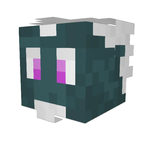 DrZane22 Minecraft avatar head, 3D render