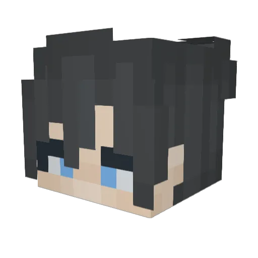 DrZeb Minecraft avatar head, 3D render