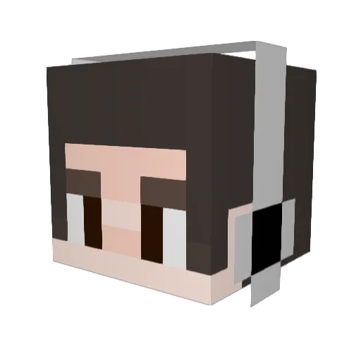 DrZero16 Minecraft avatar head, 3D render