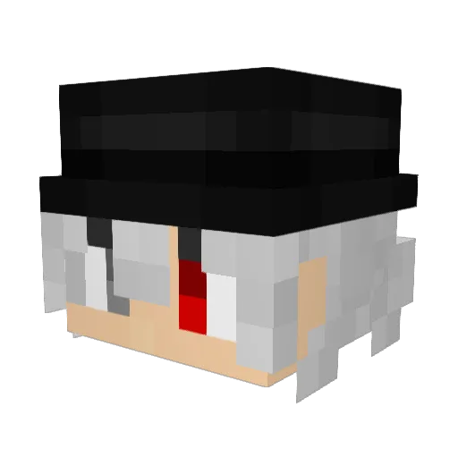 DrZloy Minecraft avatar head, 3D render