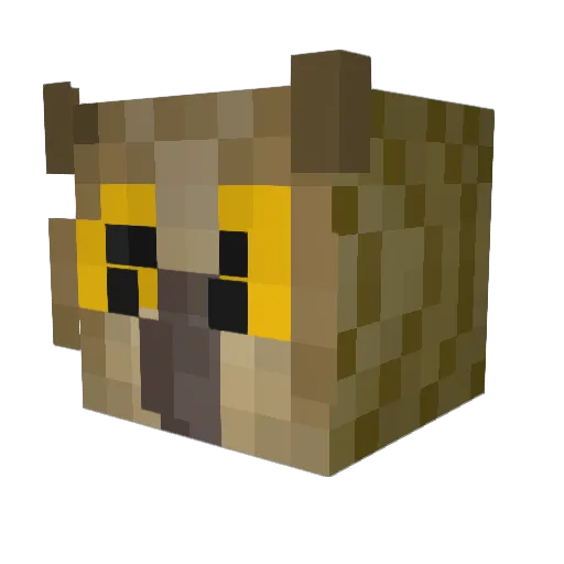 Dr_0wl Minecraft avatar head, 3D render
