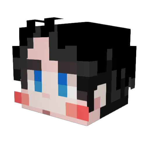 Dr_1012 Minecraft avatar head, 3D render