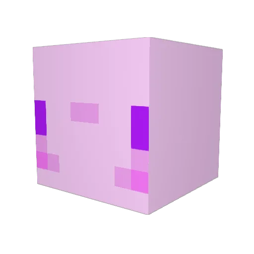 Dr_Axo1 Minecraft avatar head, 3D render