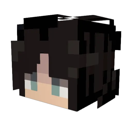 Dr_Ayra Minecraft avatar head, 3D render