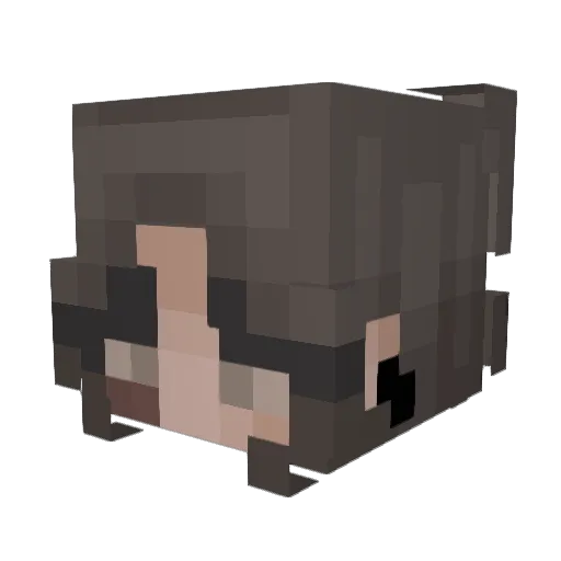 Dr_BadGuy1 Minecraft avatar head, 3D render