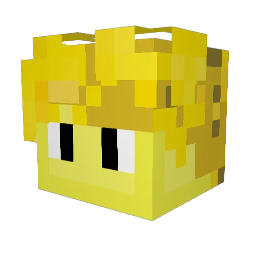 Dr_BenBen18 Minecraft avatar head, 3D render