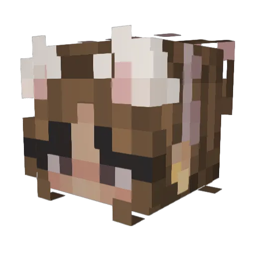 Dr_Cat Minecraft avatar head, 3D render