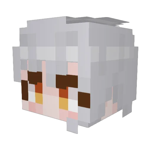 Dr_Chester Minecraft avatar head, 3D render