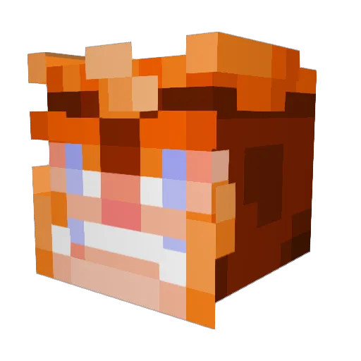 Dr_Deplorable_ Minecraft avatar head, 3D render