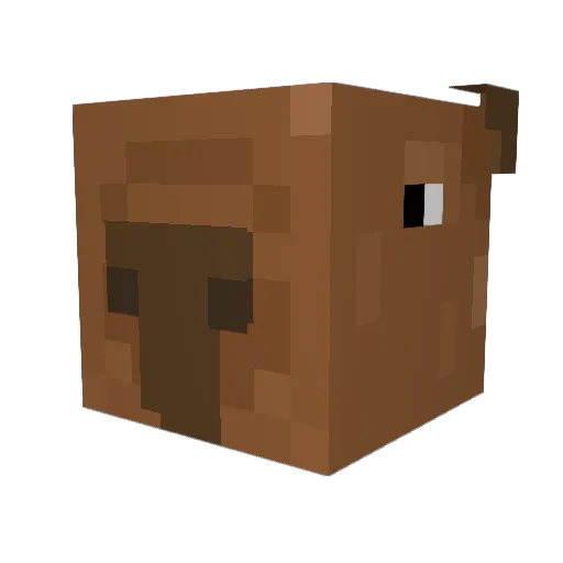 Dr_Derec Minecraft avatar head, 3D render