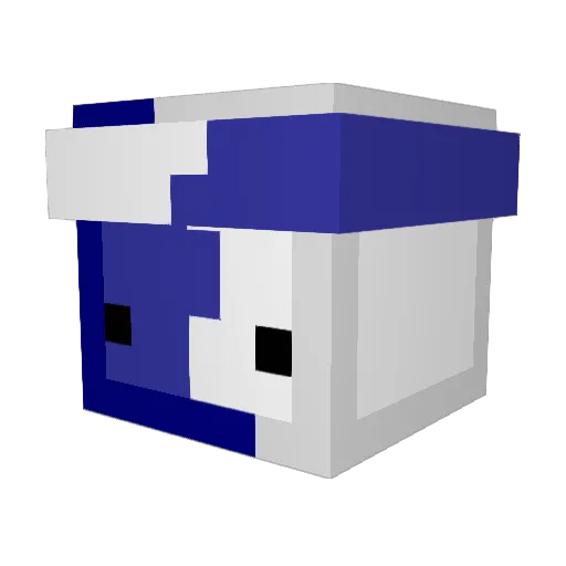 Dr_Didler7 Minecraft avatar head, 3D render