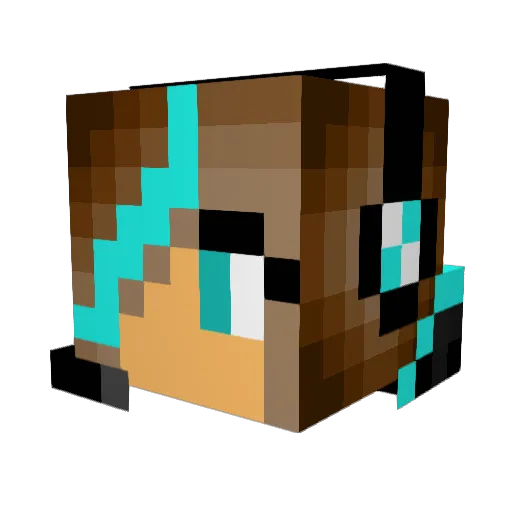 Dr_Do_Her Minecraft avatar head, 3D render