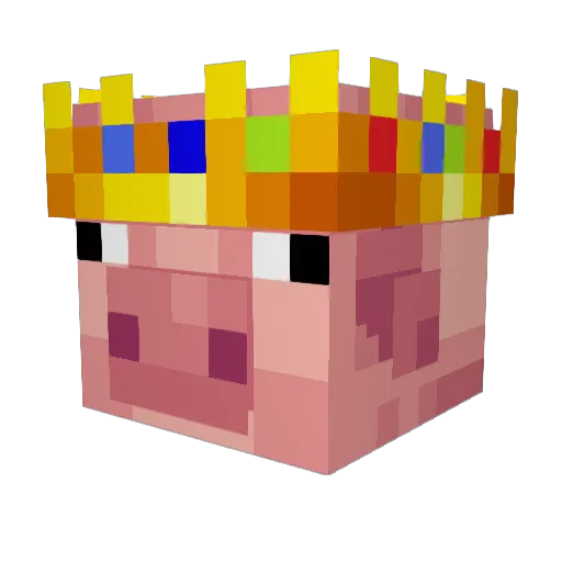 Dr_Doctor2763 Minecraft avatar head, 3D render