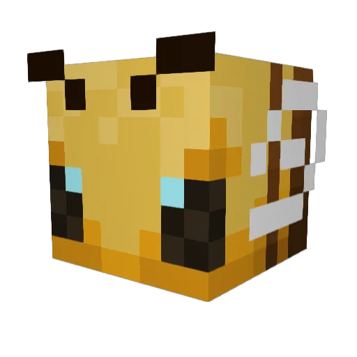 Dr_Dynas Minecraft avatar head, 3D render