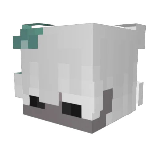 Dr_Endermite Minecraft avatar head, 3D render