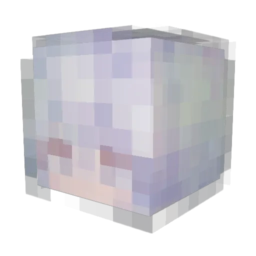 Dr_Flumph Minecraft avatar head, 3D render