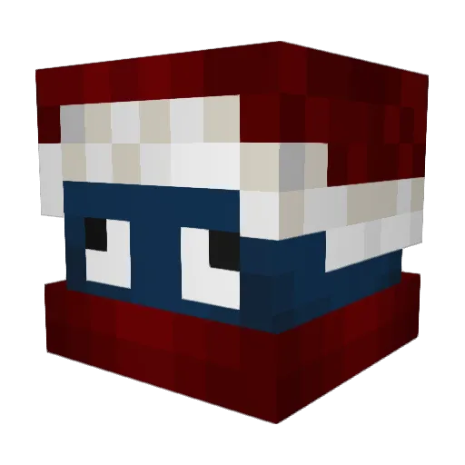 Dr_Fools Minecraft avatar head, 3D render