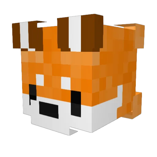 Dr_Fox147 Minecraft avatar head, 3D render