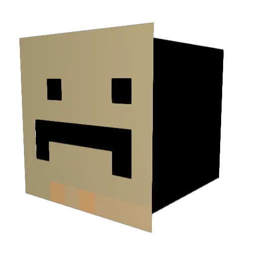 Dr_Gamer209 Minecraft avatar head, 3D render