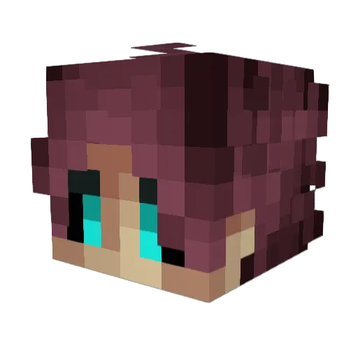Dr_Gato Minecraft avatar head, 3D render