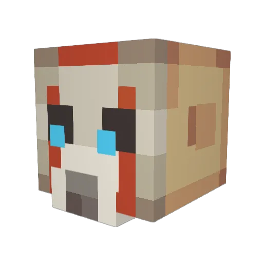 Dr_Girl Minecraft avatar head, 3D render