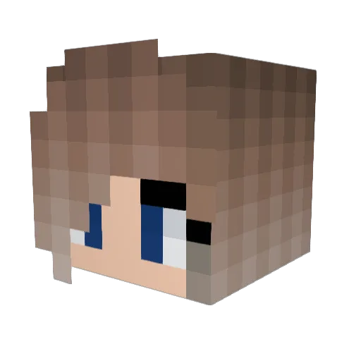 Dr_Jane5 Minecraft avatar head, 3D render