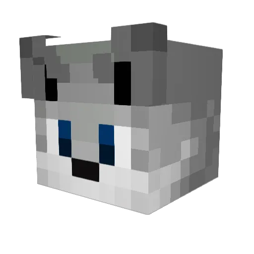 Dr_Jhono Minecraft avatar head, 3D render